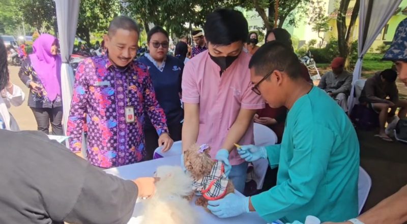 Ribuan Pemilik Hewan Serbu Program Vaksinasi Rabies Gratis